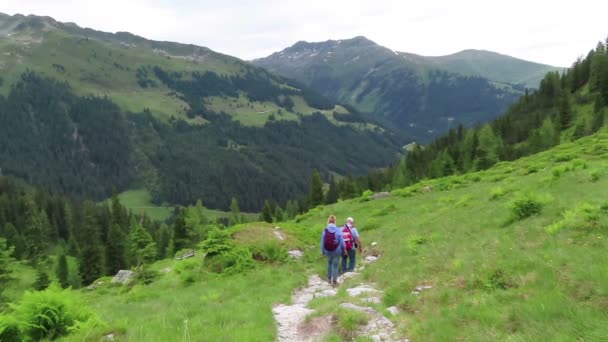 Krummbachtal Tirol Österrike Juli 2019 Människor Som Vandrar Genom Krummbachtal — Stockvideo