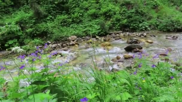 Wodospad Krummbach Strumień Przepływający Przez Austriackie Alpy Dolinie Zillertal Wysokie — Wideo stockowe