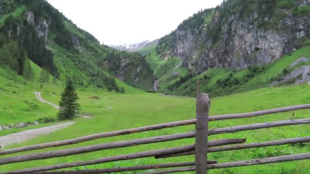 Szlak Turystyczny Wzdłuż Doliny Schoenachtal Tyrolu Austrii Część Wysokich Taurów — Wideo stockowe