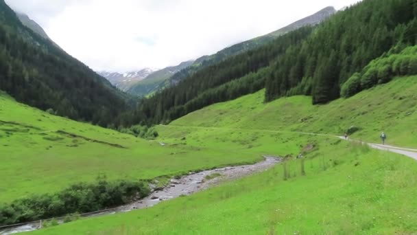 Schoenachtal Tirol Austria Lipiec 2019 Ludzie Wędrują Szlakiem Przez Dolinę — Wideo stockowe