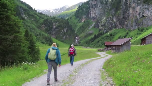 Schoenachtal Tirol Österrike 2019 Juli Människor Som Vandrar Spår Genom — Stockvideo