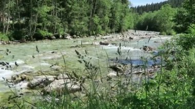 Tirol Avusturya Gerlostal vadisiboyunca akan vahşi dağ akışı. Alp dağları