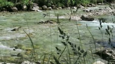 Tirol Avusturya Gerlostal vadisiboyunca akan vahşi dağ akışı. Alp dağları