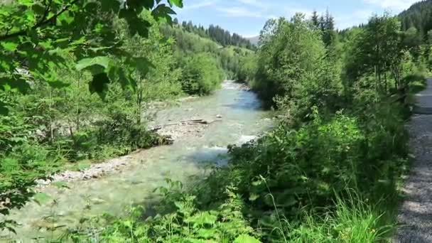 Corriente Montañosa Salvaje Que Fluye Través Del Valle Gerlostal Tirol — Vídeos de Stock