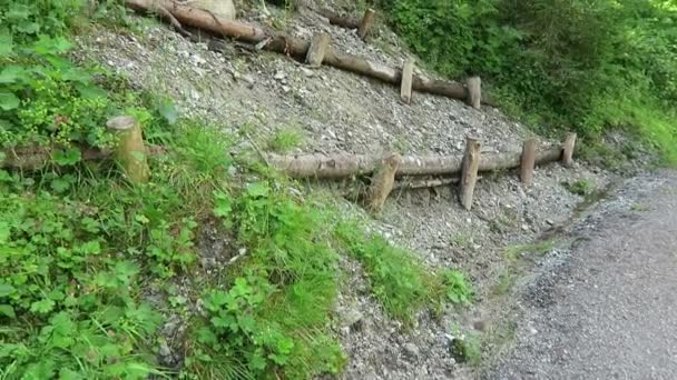 Stabilizzazione Del Pendio Versante Collinare Sul Sentiero Tra Montagne Alpine — Video Stock