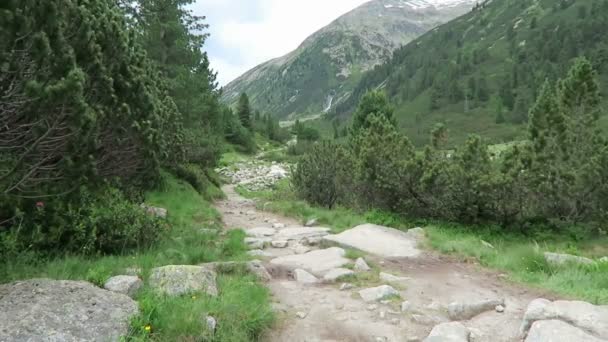 Alpesi Ösvény Schlegeis Hegyekben Túrázás Tirol Felé Olaszországba — Stock videók