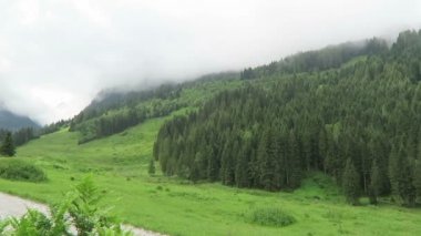 Avusturya'da Zillertal vadisi Tirol bir parçası Wimmertal vadisine Yürüyüş parkuru. Ormanda sis.