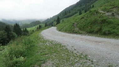 Avusturya'da Zillertal vadisi Tirol bir parçası Wimmertal vadisine Yürüyüş parkuru. Ormanda sis.