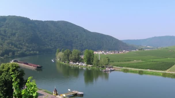 Industrieschiff Auf Der Mosel Mit Seiner Weinbaulandschaft Deutschland Zeitraffer Video — Stockvideo