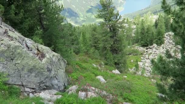 Paesaggio Alpino Del Lago Durlassboden Vicino Villaggio Gerlos Alpi Della — Video Stock