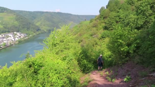 ベイルシュタイン ラインラント パラティネート ドイツ 8月26 2019 村ベイルシュタインの隣にあるモーゼル川地域のブドウ園を通ってモーゼルクランペントレイルでハイキングする高齢者 — ストック動画