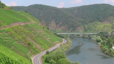 Vadi (Rheinland-Pfalz) boyunca üzüm bağları ile Moselle nehir manzara. Moselle vadisine giden yol.