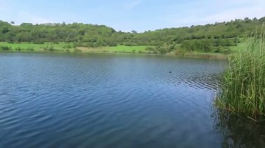 Almanya'nın Eifel bölgesinde Schalkenmehrener Maar gölü manzara. Volkanik krater manzarası