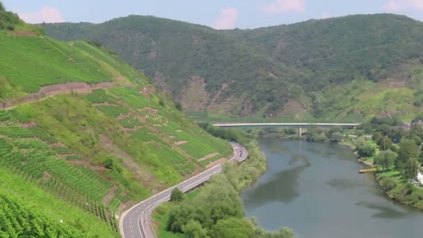 Paysage Moselle Avec Vignobles Long Vallée Rhénanie Palatinat Route Menant — Video