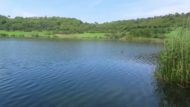 Paesaggio Del Lago Schalkenmehrener Maar Nella Regione Eifel Germania Cratere — Video Stock