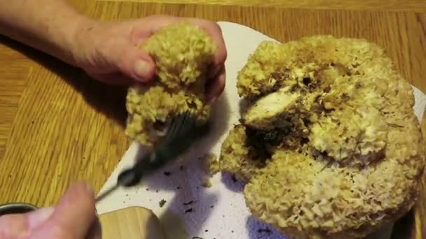 Cauliflower Fungus Sparassis Crispa Cleaning Mushroom Grass Needles — Stock Video