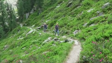 Gerlos, Tirol / Avusturya 10 Temmuz 2019: Gerlos 'un yanındaki Tirol ve Salzburger Diyarı arasındaki yüksek tauern ulus parkında yürüyüş yapan iki kadın. Alpenrose çiçekli alp patikası.