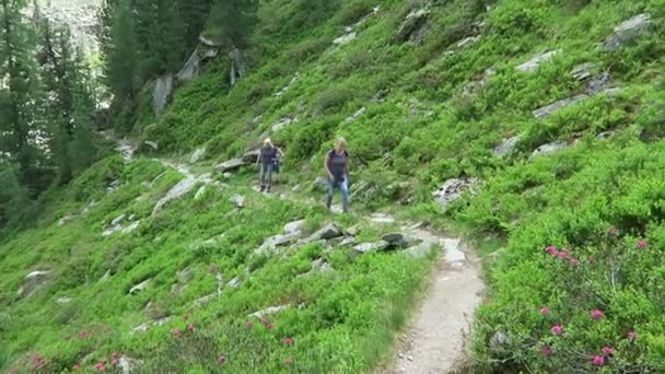 Gerlos Tirol Austria July 2019 Дві Жінки Їдуть Національний Парк — стокове відео
