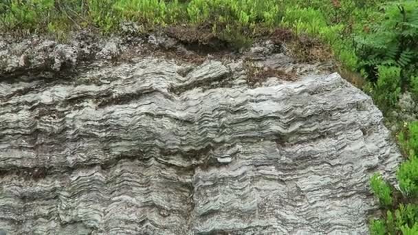 Alpejska Kreda Schist Rock Struktury Fali Alpy Doliny Zillertal Austrii — Wideo stockowe
