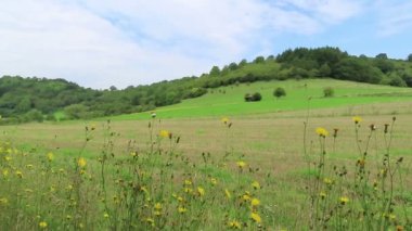 Schalkenmehren, Rhineland-Palatinate / Almanya 28 Ağustos 2019: Schalkenmehrener Maar volkanı etrafında yürüyüş yapan insanlar. Caldera ve çayır tepelerinin etrafında.