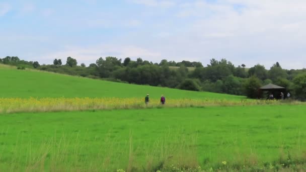 Schalkenmehren Renania Palatinado Alemania Agosto 2019 Senderismo Por Lago Del — Vídeo de stock