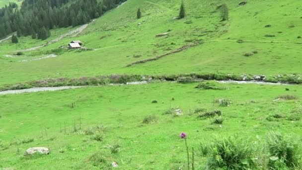 오스트리아의 지대에 목초지와 전통적 목재소 — 비디오