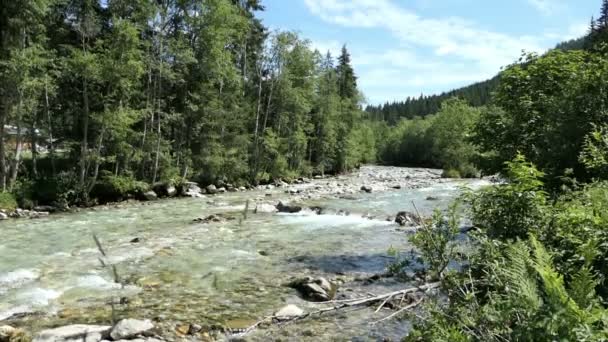 Alpine Mountain River Names Gerlos River Tirol Austria — Wideo stockowe