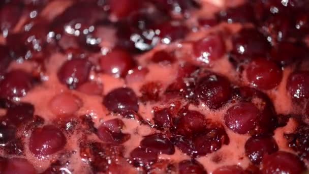 Cooking Cherry Fruit Jam Pot Mixing Cherries — Stock Video