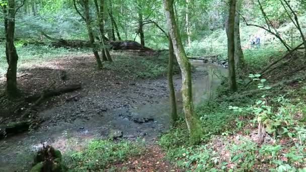 Fluxo Pommerbach Vale Moselle Alemanha Pequeno Rio Que Atravessa Vale — Vídeo de Stock