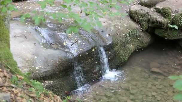 Cascade Village Eifel Kordel Rhénanie Palatinat — Video