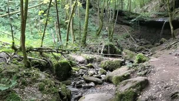 Cascata Villaggio Eifel Kordel Renania Palatinato — Video Stock