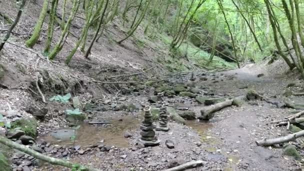 Kamienie Krzesełkowe Potoku Wiosce Eifel Kordel Nadrenii Palatynacie — Wideo stockowe