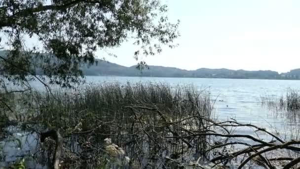 Der Laacher See Mit Seiner Typischen Landschaft Der Eifel — Stockvideo