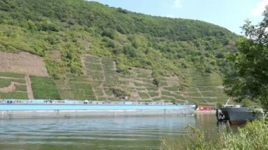 Pommern, Rhineland-Palatinate / GERMANY 9 Ağustos 2020: Moselle nehri üzerinde sanayi mavnası. Her yerde üzüm bağları var..