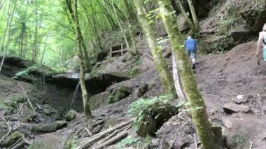 Kordel, Rhineland-Palatinate / GERMANY 11 Ağustos 2020: Kordel köyünün yanındaki Eifel bölgesinde şelale yolu boyunca yürüyen yürüyüşçü. 