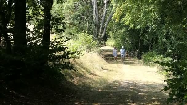 Steinbach Rheinland Pfalz Deutschland August 2020 Spaziergänger Auf Dem Weg — Stockvideo