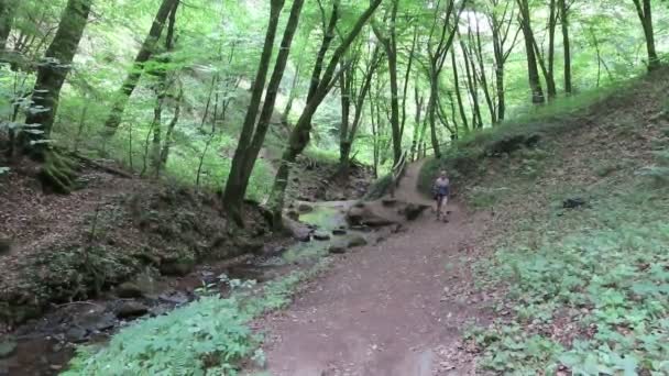 Kordel Renânia Palatinado Alemanha Agosto 2020 Caminhante Caminhando Longo Trilha — Vídeo de Stock