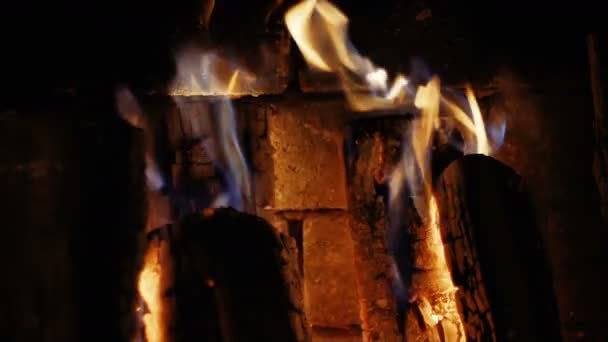 Brûlure de bois, gros plan — Video