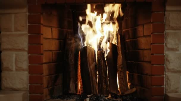 Brandhout brandt in de open haard, gezelligheid, Kerstmis — Stockvideo
