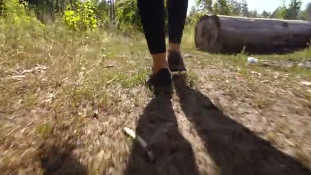 La ragazza cammina lungo il sentiero della foresta, gambe, scarpe da ginnastica — Video Stock