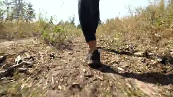 Una chica camina a lo largo de un sendero forestal, una caricia deportiva, una vista trasera — Vídeo de stock