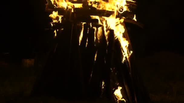 Uma grande fogueira queima durante a noite — Vídeo de Stock
