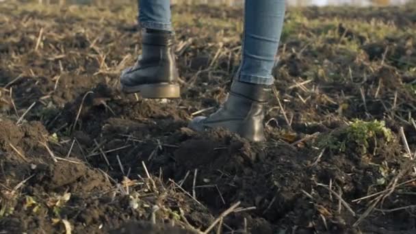 Uma menina está andando ao longo do campo, sapatos femininos — Vídeo de Stock