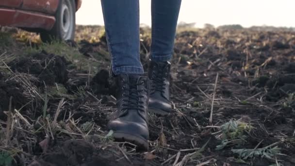 Дівчина ходить по полю, жіноче взуття — стокове відео