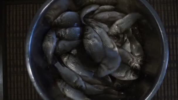 Fisk i skålar, fishermans fånga — Stockvideo