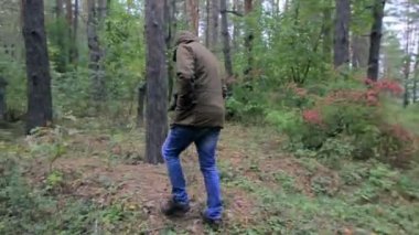 Bir adam bir başlıklı Ormanda yürür, bir adam ormanda kaybolur