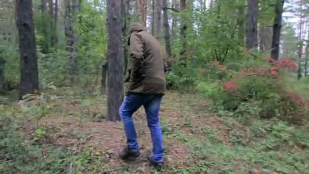 Un tizio con un cappuccio cammina attraverso la foresta, un uomo si perde nel bosco — Video Stock