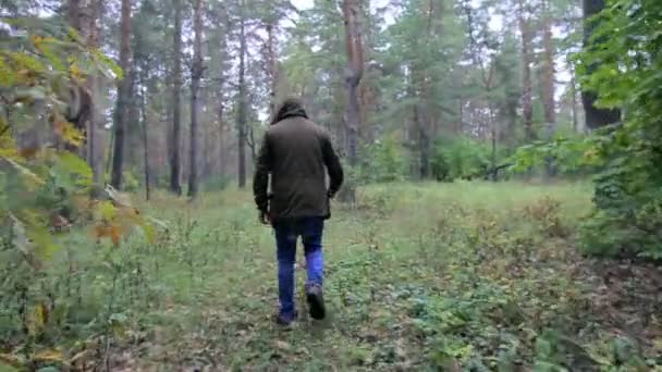 Хлопець загубився в лісі — стокове відео