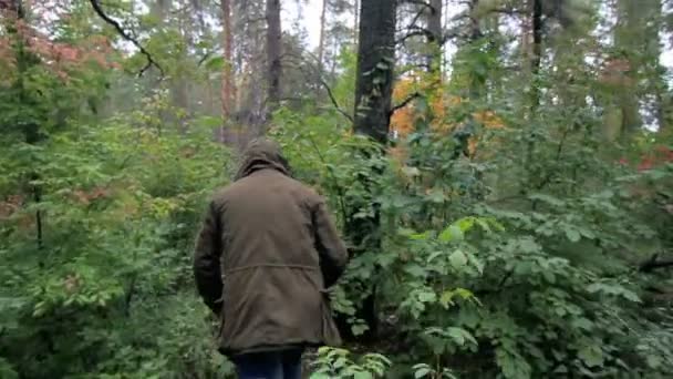 Adam ormanda kaybolur — Stok video