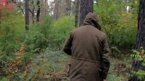 El tipo está perdido en el bosque. — Vídeo de stock